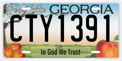 GA license plate CTY1391