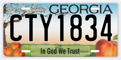 GA license plate CTY1834