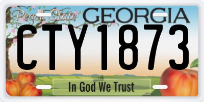 GA license plate CTY1873
