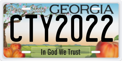 GA license plate CTY2022