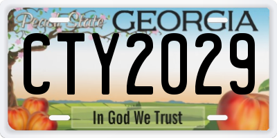 GA license plate CTY2029