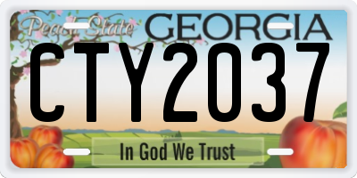 GA license plate CTY2037