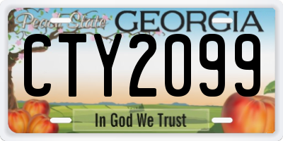 GA license plate CTY2099