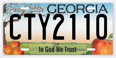 GA license plate CTY2110