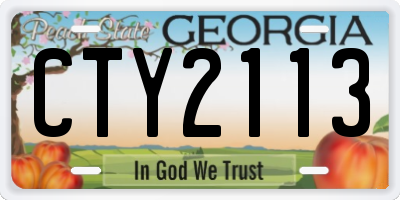 GA license plate CTY2113