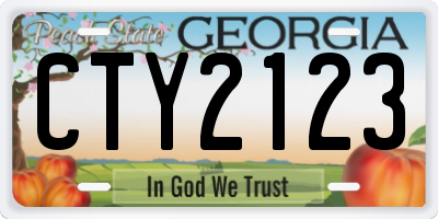 GA license plate CTY2123