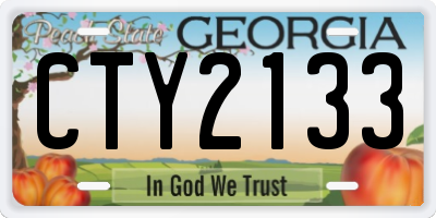 GA license plate CTY2133