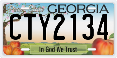GA license plate CTY2134