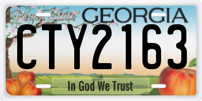GA license plate CTY2163