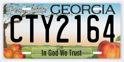 GA license plate CTY2164