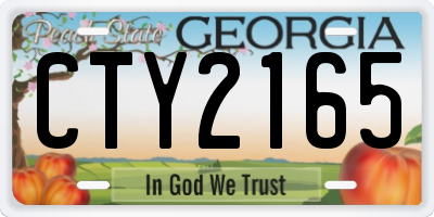 GA license plate CTY2165