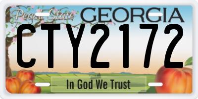 GA license plate CTY2172