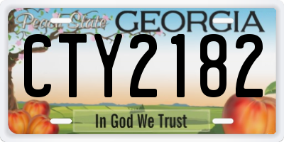 GA license plate CTY2182