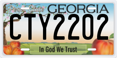 GA license plate CTY2202
