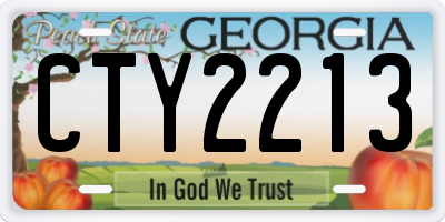 GA license plate CTY2213
