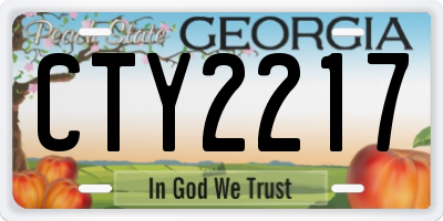 GA license plate CTY2217
