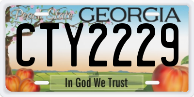 GA license plate CTY2229