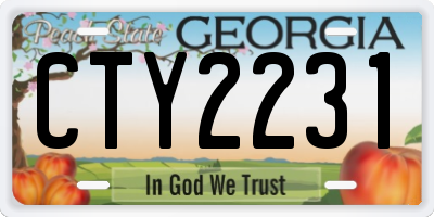 GA license plate CTY2231