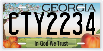GA license plate CTY2234