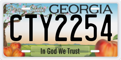 GA license plate CTY2254
