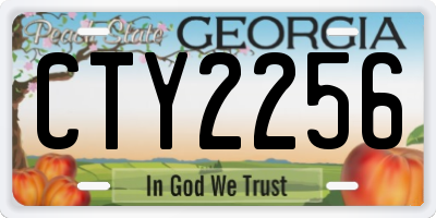 GA license plate CTY2256
