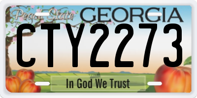 GA license plate CTY2273