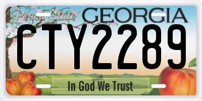 GA license plate CTY2289