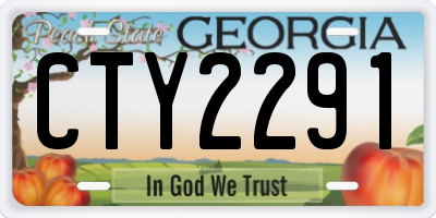 GA license plate CTY2291