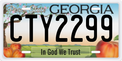 GA license plate CTY2299