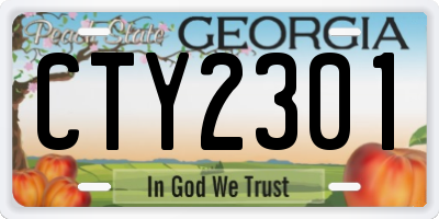 GA license plate CTY2301