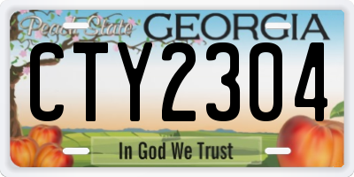 GA license plate CTY2304