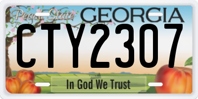 GA license plate CTY2307