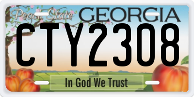 GA license plate CTY2308