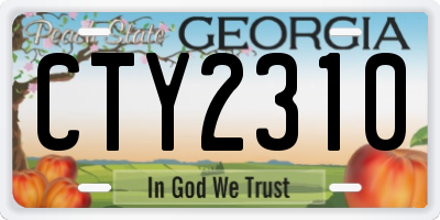 GA license plate CTY2310