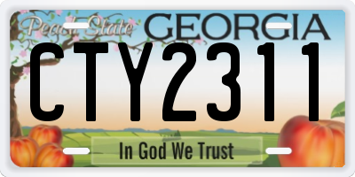 GA license plate CTY2311