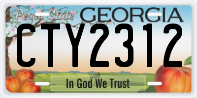 GA license plate CTY2312