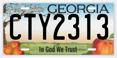 GA license plate CTY2313