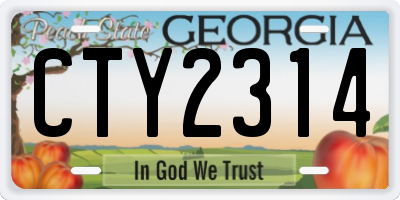 GA license plate CTY2314