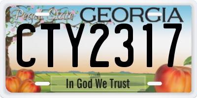 GA license plate CTY2317