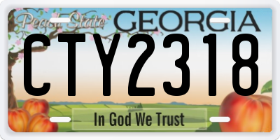 GA license plate CTY2318