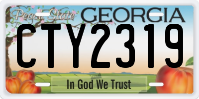 GA license plate CTY2319