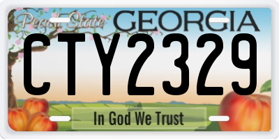 GA license plate CTY2329