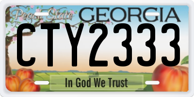 GA license plate CTY2333