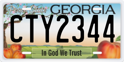 GA license plate CTY2344