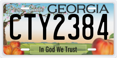 GA license plate CTY2384