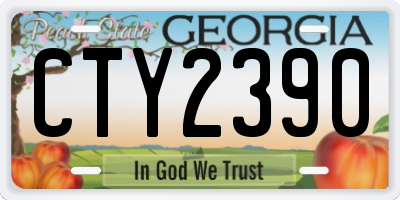 GA license plate CTY2390