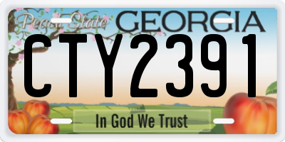 GA license plate CTY2391