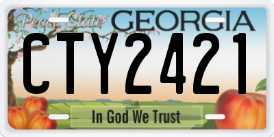GA license plate CTY2421