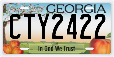 GA license plate CTY2422