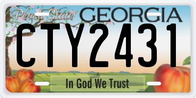 GA license plate CTY2431